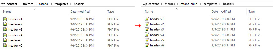 Header Customization