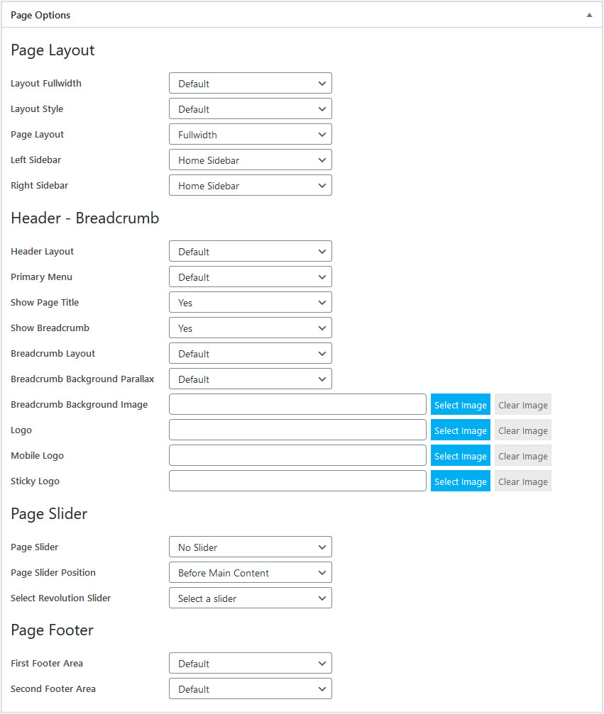 Page Options