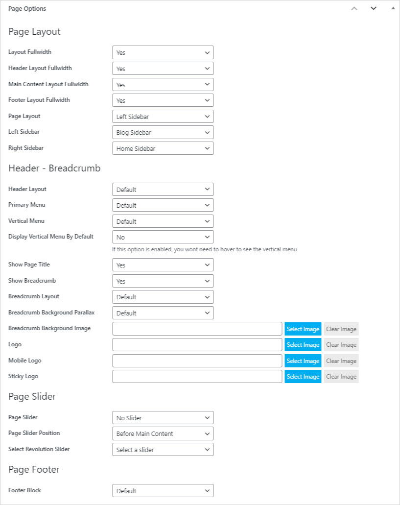 Page Options