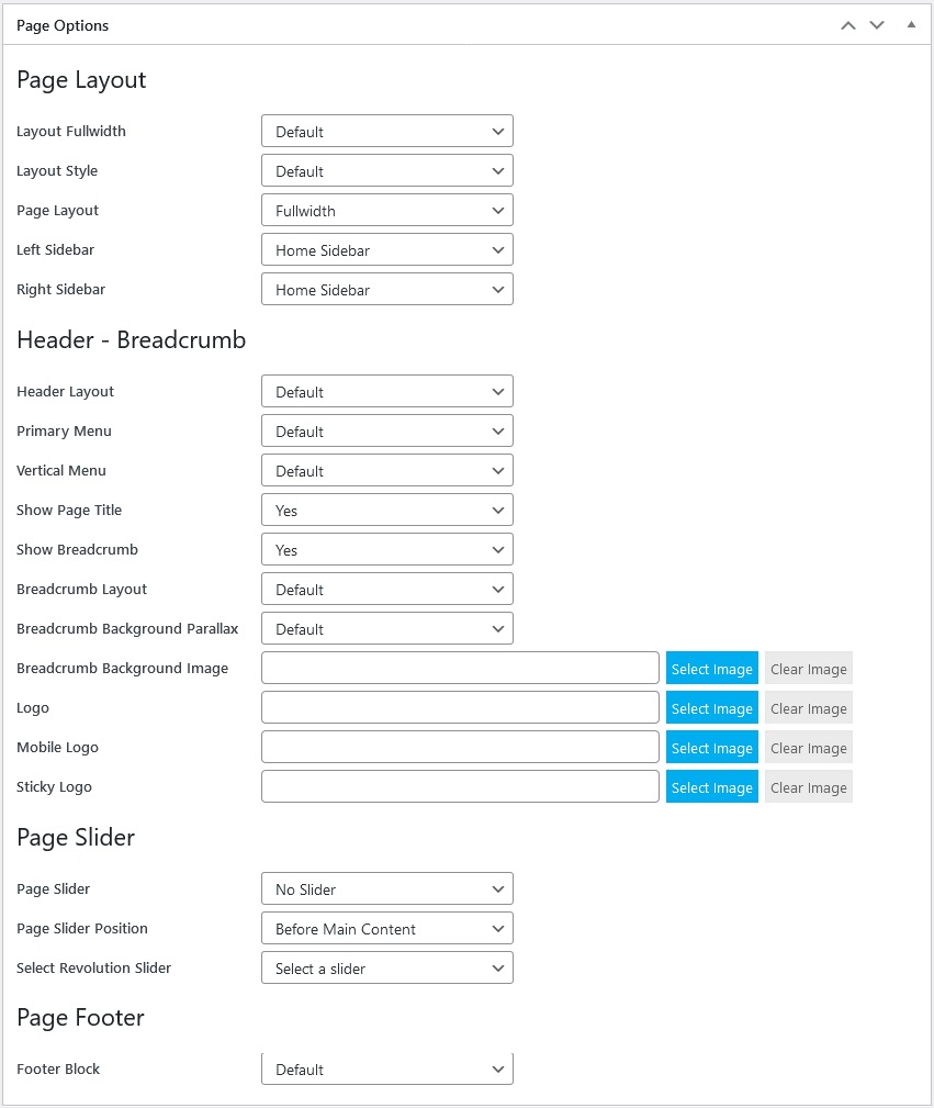 Page Options