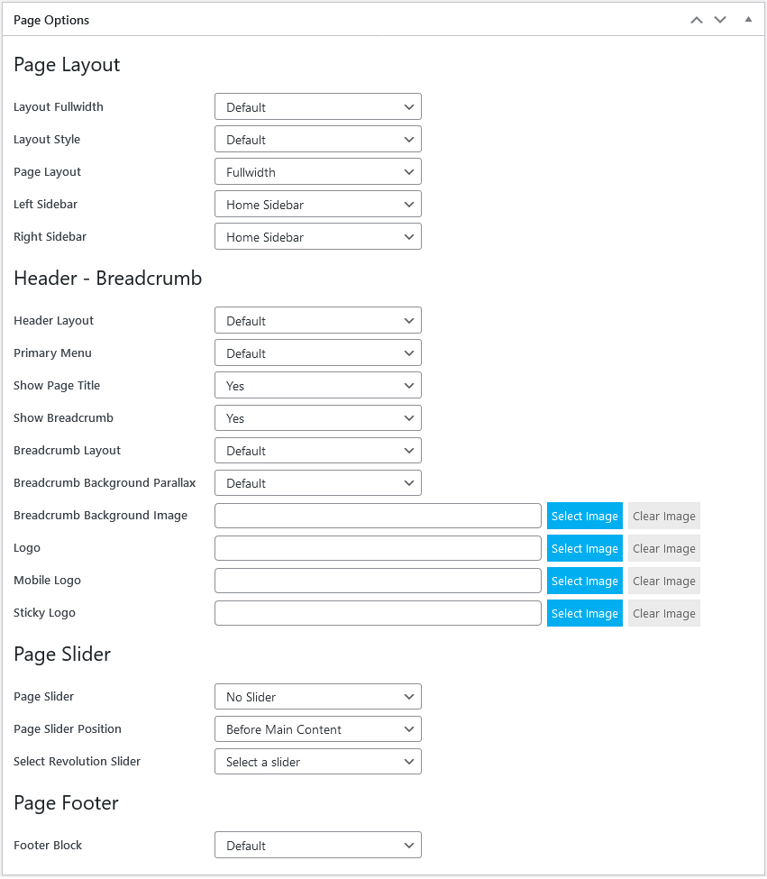 Page Options